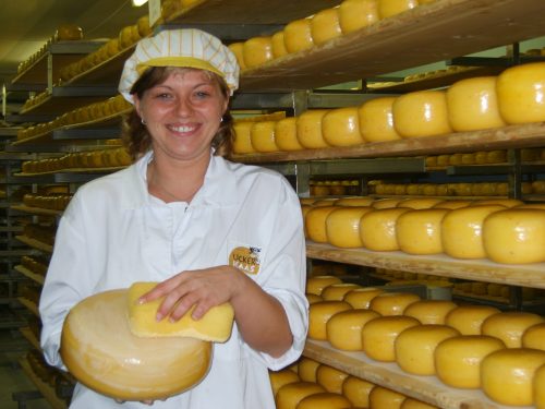 Eine Arbeiterin in Hygienebekleidung. Sie hält einen Schwamm in der Hand, mit dem sie über einen runden Käse reibt. Im Hintergrund Regale voller Käse-Laibe.