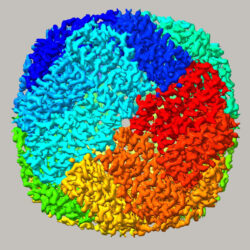 Computergenerierte Darstellung der Struktur eines Makromoleküls