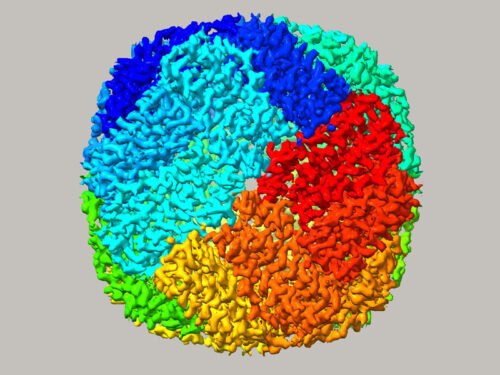 Computergenerierte Darstellung der Struktur eines Makromoleküls