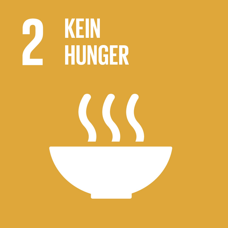 Pictogramm für das Sustainable Development Goal (SDG) 2: Kein Hunger