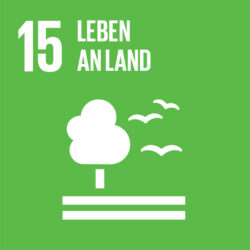 Pictogramm für das Sustainable Development Goal (SDG) 15: Leben an Land