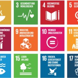 Pictogramme der 17 Sustainable Development Goals (SDGs) der UN