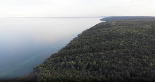 Wald- und Wasserfläche aus der Vogelperspektive