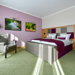 Ein mit modernen gemütlichen Möbeln ausgestattetes Schlafzimmer